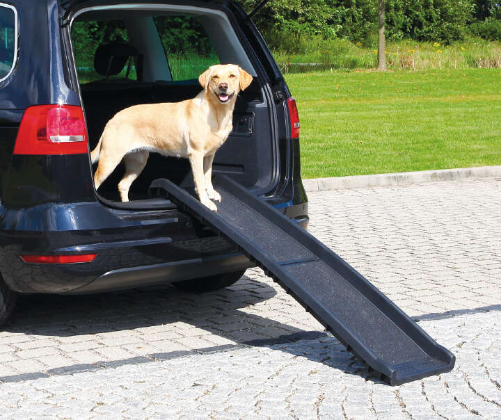 TRIXIE Hunde-Rampe Petwalk klappbar